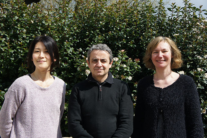 Miembros del jurado de la fase de preseleccin va CD del tercera edicin del Concurso Internacional de Clarinete Jacques Lancelot